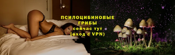 стаф Надым