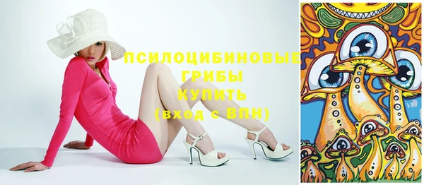 стаф Надым