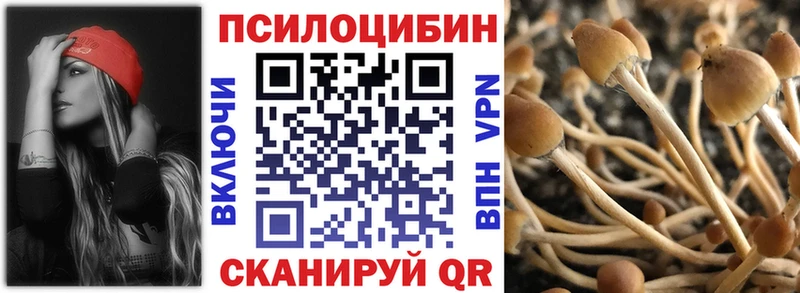 купить   Ленск  Псилоцибиновые грибы прущие грибы 